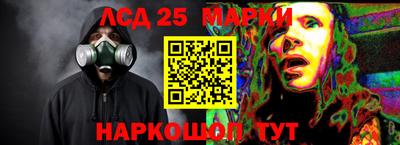 спиды Кингисепп