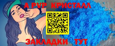 спиды Кингисепп
