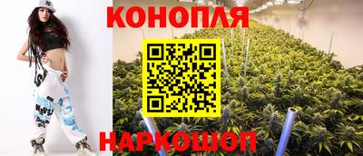 спиды Кингисепп