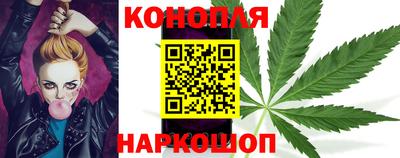 стаф Кинель