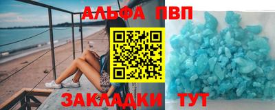 спиды Кингисепп