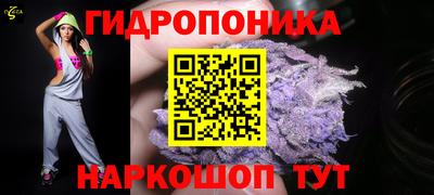 стаф Кинель