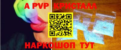 спиды Кингисепп