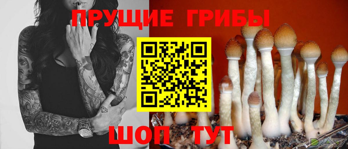 Псилоцибиновые грибы Psilocybine cubensis  Вход с VPN  Галлюциногенные грибы MAGIC MUSHROOMS  Биробиджан 